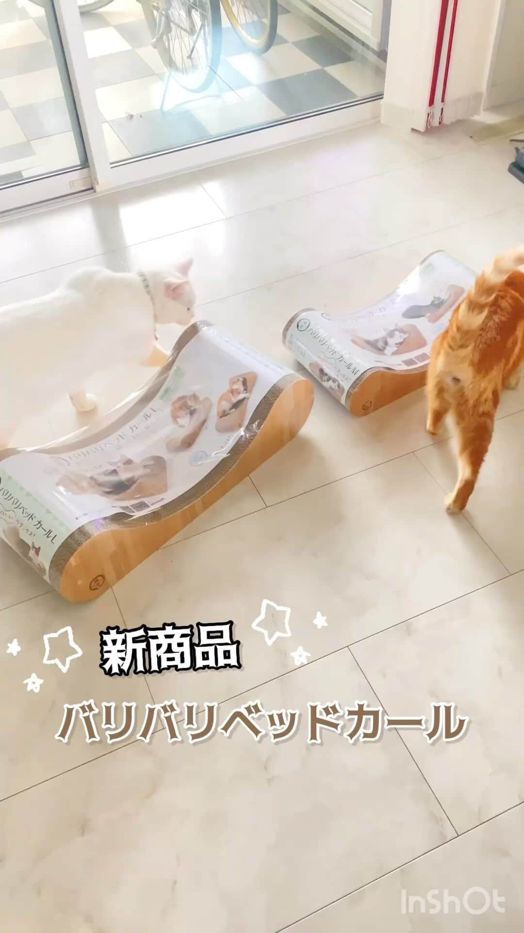猫壱（ねこいち•ネコイチ）のインスタグラム：「新商品🐾バリバリベッドカール みんなの反応は？？  @mitarashi.co.jp さん お写真をありがとうございました😊 お写真の商品はバリバリベッドカールでした🐈  :::::::::猫壱 :::::::   猫壱商品を使ってくれている写真や動画に【猫壱写真館】のハッシュタグをつけてポストしてください✨  猫壱SNSなどでリポスト・紹介されるかも？！  猫壱HPにも掲載されるチャンスも🥺  ぜひ皆さんハッシュタグをつけてポストしてくださいね🥺    @necoichicojp のハイライトから応募要項をチェックして是非ご応募くださいね❤   Reproduction is  prohibited.  ...........................................................................  #猫壱写真館  #猫壱 #necoichi #つめとぎ ...........................................................................」