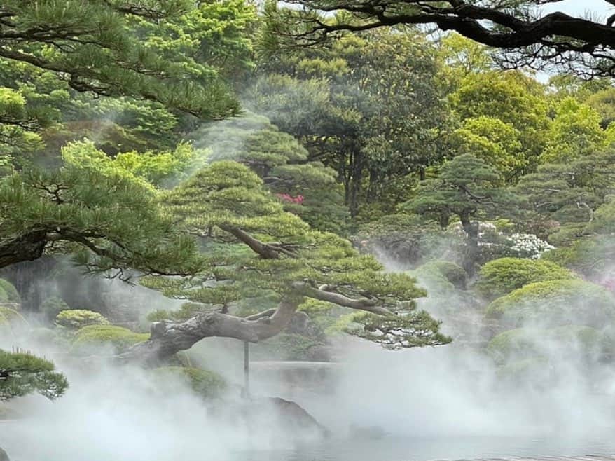假屋崎省吾さんのインスタグラム写真 - (假屋崎省吾Instagram)「もう絶対日本一の庭園だと、自分は思うくらい、島根県・日本庭園由志園さんの庭は美しい✨  シャクナゲ(石楠花)の種類が、こんなにあるのっていうくらい、園内のいたるところに咲き乱れてました〜っ😻  池がまた風情があって、しかも数分おきに、なんと、なんと雲海が🙌  もうとにかく美しいのなんのってないね💕  #假屋崎省吾 #カーリー #島根県 #由志園 #ボタン #庭園 #日本一 #風情」4月24日 23時22分 - shogo_kariyazaki_official