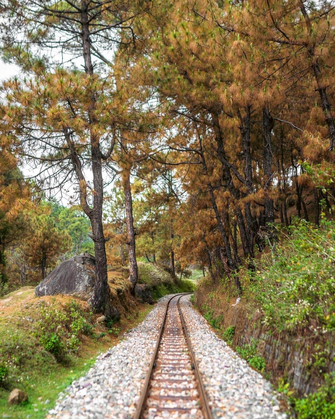 Abhinav Chandelのインスタグラム：「I don’t know where comes that moment where you stop living and start, 'just breathing'.   You’re out there, on the road, walking, with mountains in sight, with a beach in reach, with the window of your lover round the corner, where you’ll knock and they'll come out, and you’ll kiss them.   And then one day it disappears, these beautiful visions, which once appeared and you remain, shivering with fear, angry, trying to breathe freely but the chains keep tightening as if there’s a demon who is out there, trying to hold you in, trying to keep you away from flying in the sky, and the kid who thought of himself as a hero, now lays lifeless.   You just breathe, you write a word, delete it, you take a step, and fall down. You smile but not without tears, you dream but they shatter in the morning.   But you know who you are, you know the spirit that resides within you, you know the songs that flow in your veins, you remember the dreams that actually came true, the night where the stars twinkled as if the whole universe was yours, and you were one with it all, the night you felt infinite.   And you know it’ll end, and before you know it, these breaths will be racing, because your legs will be running towards happiness, there’ll be mountains in sight, a beach to your right, and a golden sky waiting for you to arrive under.   But until then, please please please, just keep breathing.」