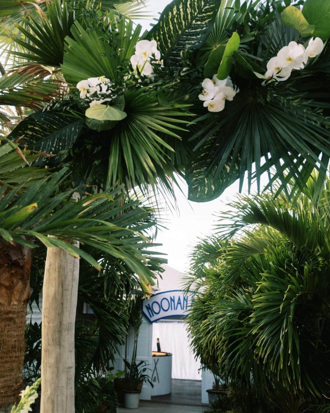 Ceci Johnsonさんのインスタグラム写真 - (Ceci JohnsonInstagram)「Forever looks good on these two. 🤍  Swipe for more details of their lush island wedding in St.Barths, as seen in @TheKnot. ✨  Invitation Design & Event Branding: @cecinewyork Planner: @epicpresentations Event Designer: @epicpresentations 📸 & 🎥: @thebrothersmartens Ceremony & Reception Site: @nikkibeachsaintbarth Florist: @b_floralevents Officiants: Tori Bradburry & Josh Sepkowitz Wedding Dress: @alexperryofficial Reception & After-Party Dresses: @berta via @bblewisville Veil: @bblewisville Suits: @balanicustom Engagement & Wedding Rings: @diamondsdirect Hair and Makeup: @matwulff Wedding Party Attire: @alexperryofficial, @balanicustom Rental Equipment: @nikkibeachsaintbarth Catering: @nikkibeachsaintbarth Cake: @chokolavany.stbarth Entertainment: @nikkibeachsaintbarth, @blackrabbitprojects Welcome Bags: @epicpresentations Transportation: @coolrental  #couturedesign #luxurydesign #luxurystationerydesign #luxuryweddingstationery #luxurysignagedesign #eventbranding #cecicouture #weddingprograms #ceciwedding #placecards #stbarth」4月24日 23時31分 - cecinewyork