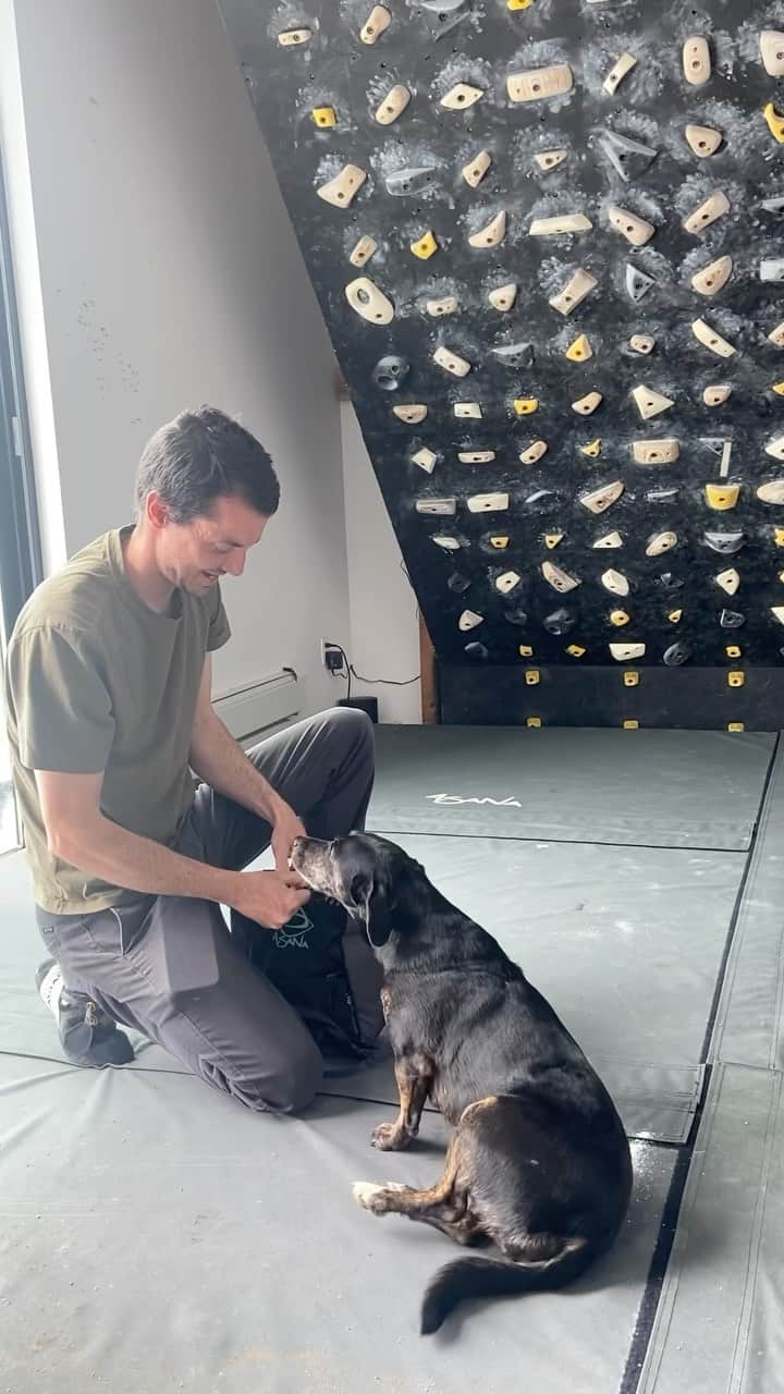 ポール・ロビンソンのインスタグラム：「Stoked on the new @asanaclimbing HuckIt Bucket with magnetic closure! Good thing @moch.dog knew the way to get it home to me! #asanaclimbing #bouldering」