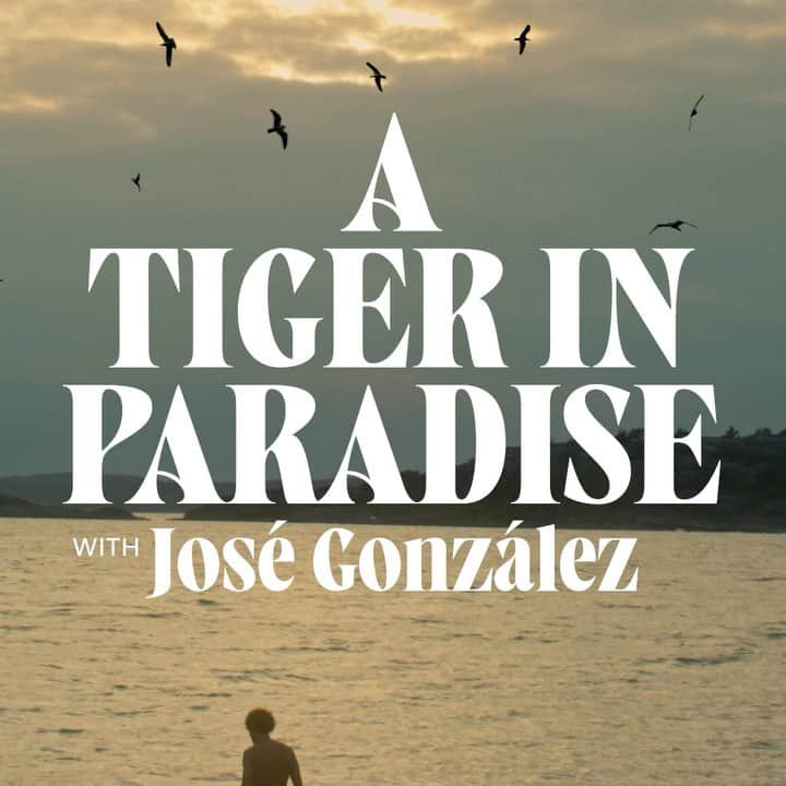 ホセ・ゴンザレスのインスタグラム：「Just a reminder that “A Tiger in Paradise” – exclusive screenings are happening next week!   After the movie, the director @mikelceekarlsson and I will discuss the topics in the film om stage and I will also perform a few songs.   April 26 - Barcelona - @parallel62bcn April 28 - Berlin - @babylonberlin April 29 - Antwerp @deromavzw   Tickets are low !」