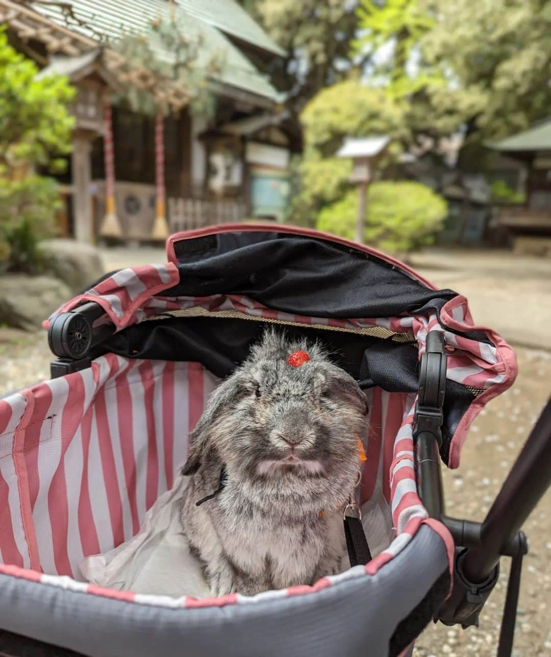 三宅裕子のインスタグラム