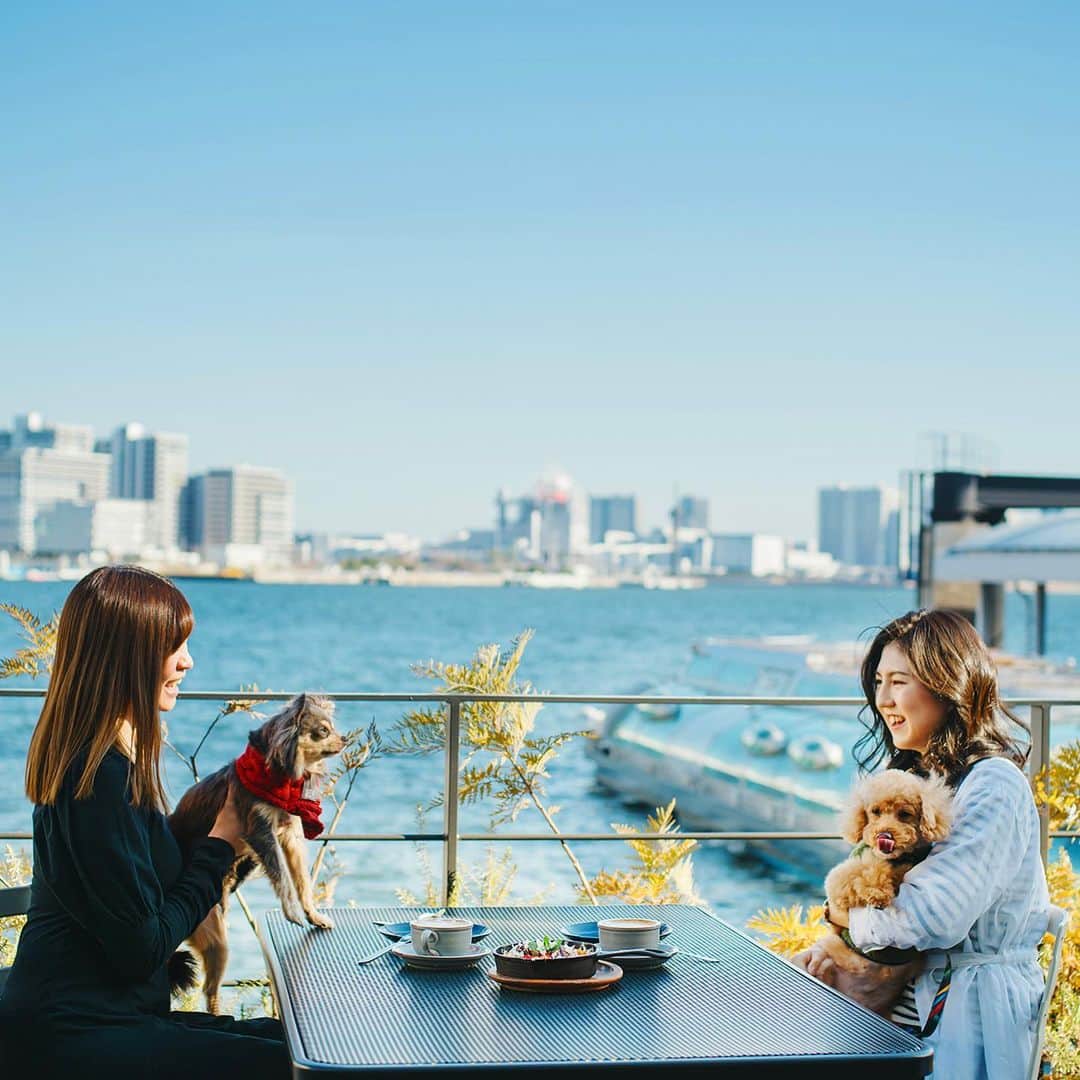 InterContinental Tokyo Bayさんのインスタグラム写真 - (InterContinental Tokyo BayInstagram)「.  InterContinental Tokyo Bay offers a dog-friendly accommodation plan, which includes complementary dog treat and a special guest room even a dog lounge where you can spend a special vacation with your beloved family dog. Our hotel is located with a spectacular waterfront view, and Takeshiba Pier is a good place that you could walk with your dog using a leash while enjoying the view of the Tokyo Bayside area. This golden week, come and enjoy an unforgettable experience with all of your family members.  ゴールデンウィークは愛犬とご一緒にご宿泊はいかがでしょうか？ 撮影スポットやドリンクを設置し、愛犬とご一緒にお楽しみいただけるドッグフレンドリーなラウンジをご用意しております。 また、ホテルから徒歩1分のところにドッグフレンドリーなカフェもございますので、充実したお散歩タイムも叶います。 オプションで、愛犬と乗船できる東京ウォータータクシーで東京湾クルーズもおすすめです。  #intercontinentaltokyobay  #インターコンチネンタル東京ベイ  #ホテルインターコンチネンタル東京ベイ  #intercontinental #intercontinentallife  #ドッグフレンドリー  #ゴールデンウィーク #おでかけスポット  #愛犬とお出かけ  #わんことお出かけ  #愛犬 #わんこ  #愛犬のいる生活  #わんこのいる生活  #愛犬と旅行 #わんこと旅行  #リフレ #東京ウォータータクシー #besideseaside #わんこokカフェ  #ウォーターズ竹芝  #ドッグフレンドリーラウンジ  #竹芝桟橋 #hinode」4月25日 0時07分 - intercontitokyobay