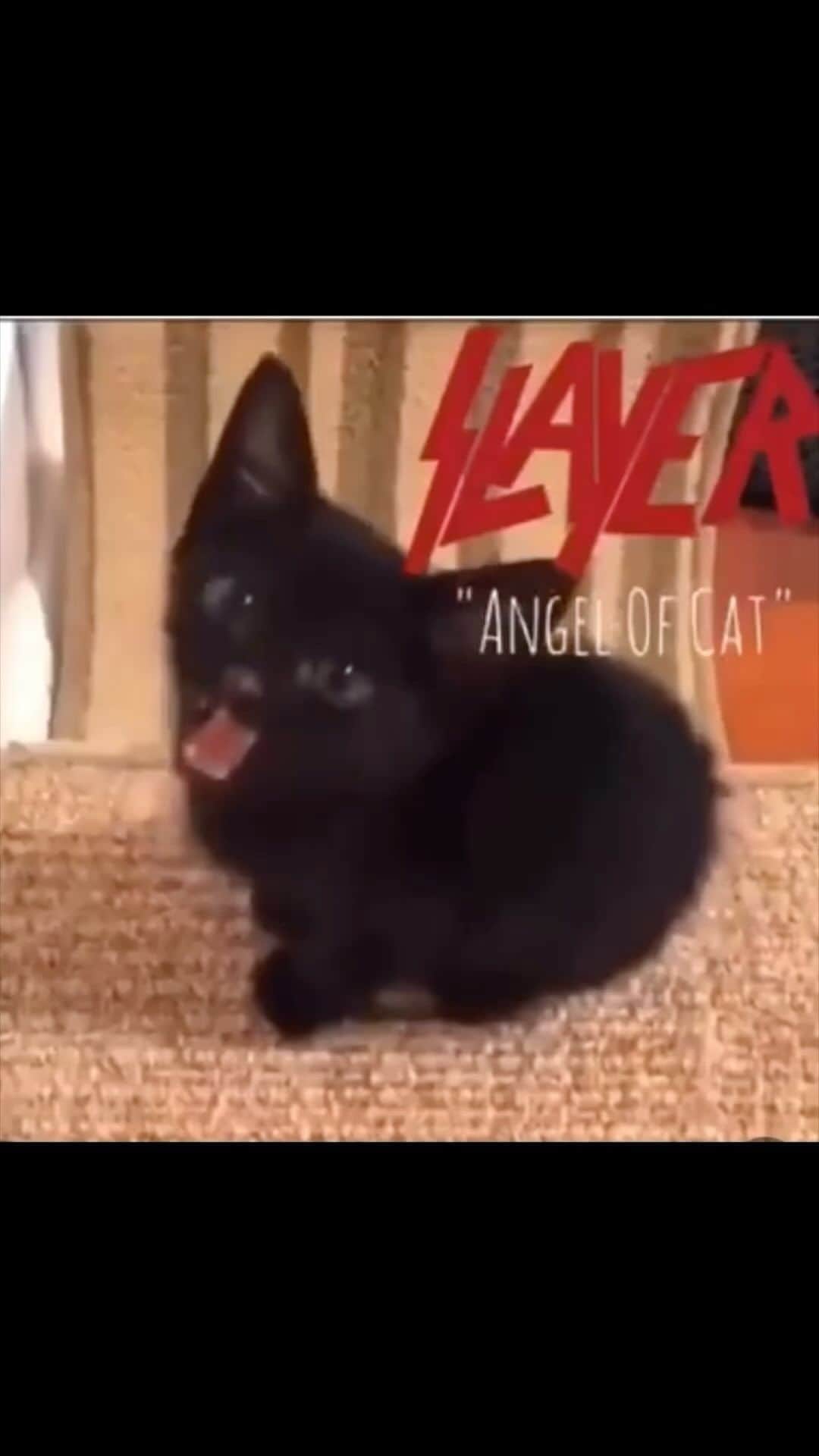 Revolverのインスタグラム