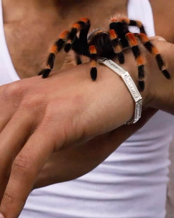 シュプリームのインスタグラム：「Supreme®/Jacob & Co Logo Link Bracelet」