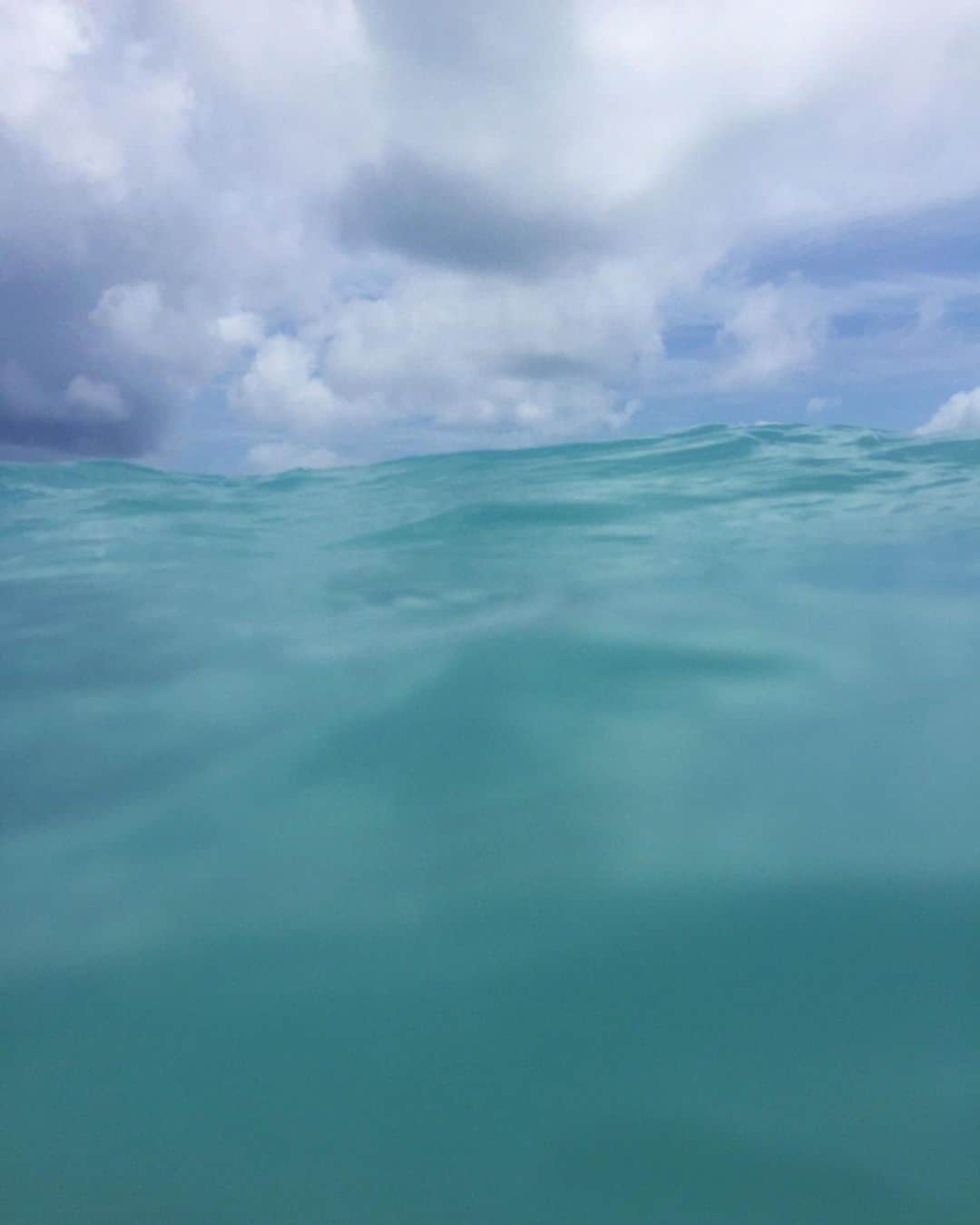 ミッシェルジョナスのインスタグラム：「✨🌊✨」