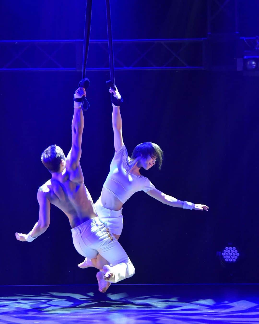 NISHIOさんのインスタグラム写真 - (NISHIOInstagram)「Polish Exhibition 2023 vol.13  @mika_aerial  . . . . . #dance #dancer #performance #performer #aerial #pair #duo #loopstraps #aerialstraps #aerialloopstraps #ストラップ #エアリアルストラップ #noa #pop #japan #japanese #tokyo #東京 #shibuya #渋谷 #polish #ポールダンス #poledance #ダンス #トレーニング #ポールダンサー #ポールダンス初心者 #carnival #burlesque #cabaret」4月25日 3時37分 - nishio_pole