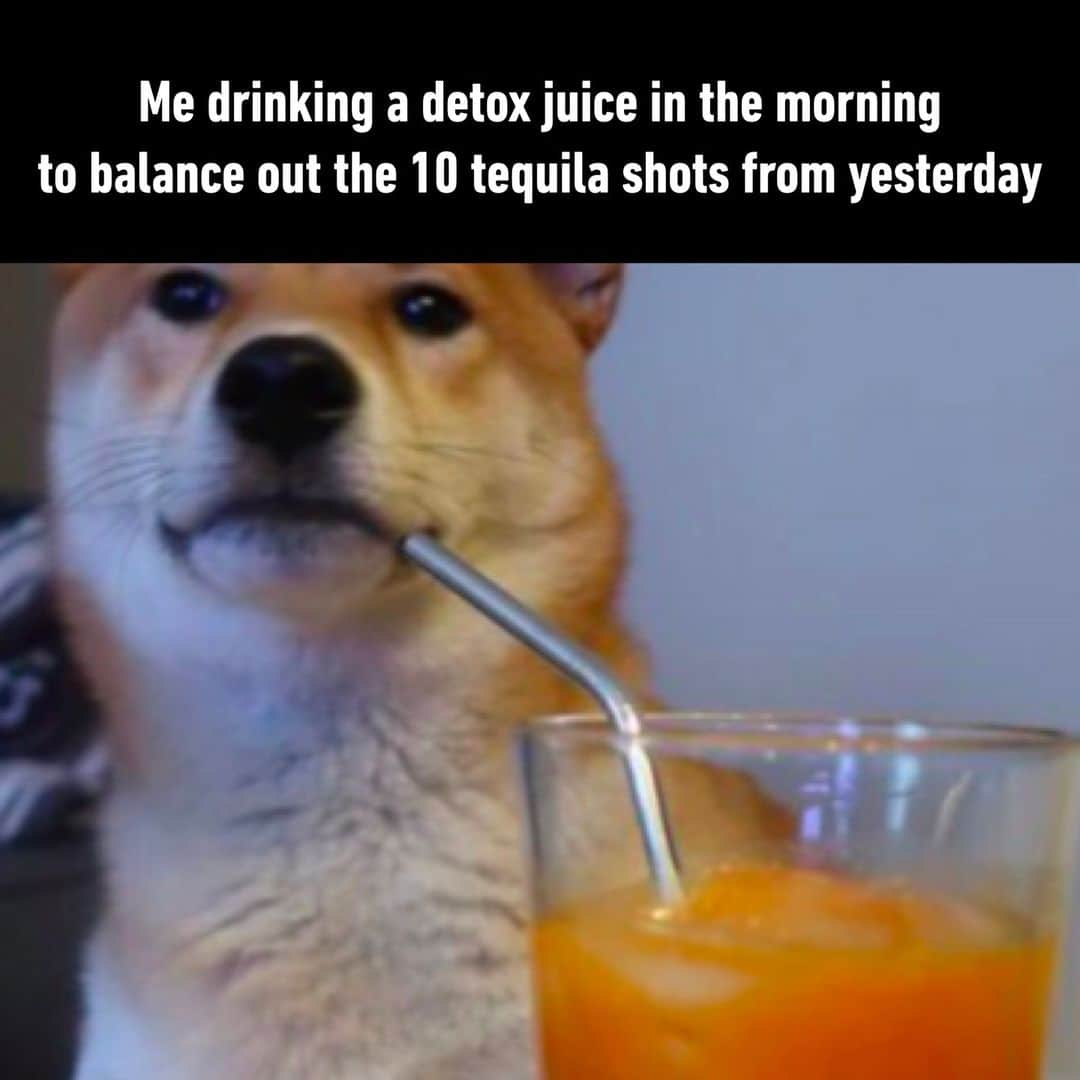 9GAGさんのインスタグラム写真 - (9GAGInstagram)「it won't work but at least I feel good about it - #detoxjuice #drinking #alcohol #tequila #memes #9gag」4月25日 4時01分 - 9gag