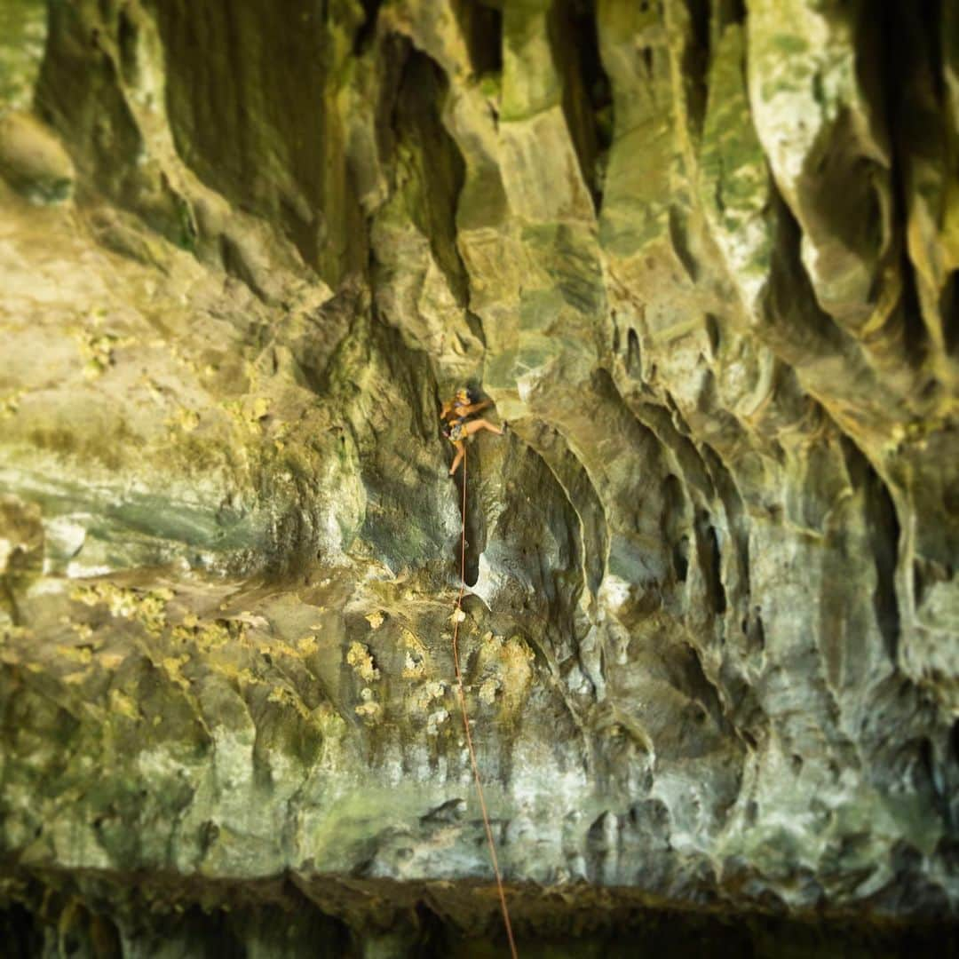 サッシャ・ディギーリアンさんのインスタグラム写真 - (サッシャ・ディギーリアンInstagram)「Exploring the striking beauty inside the cave known as “Salon de los Gigantes” in the Vinales Valley, Cuba. #climbing #cubatravel  Photo by @bearcam」4月25日 4時05分 - sashadigiulian