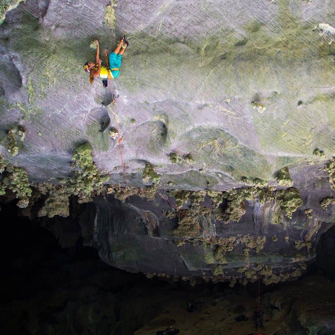 サッシャ・ディギーリアンさんのインスタグラム写真 - (サッシャ・ディギーリアンInstagram)「Exploring the striking beauty inside the cave known as “Salon de los Gigantes” in the Vinales Valley, Cuba. #climbing #cubatravel  Photo by @bearcam」4月25日 4時05分 - sashadigiulian