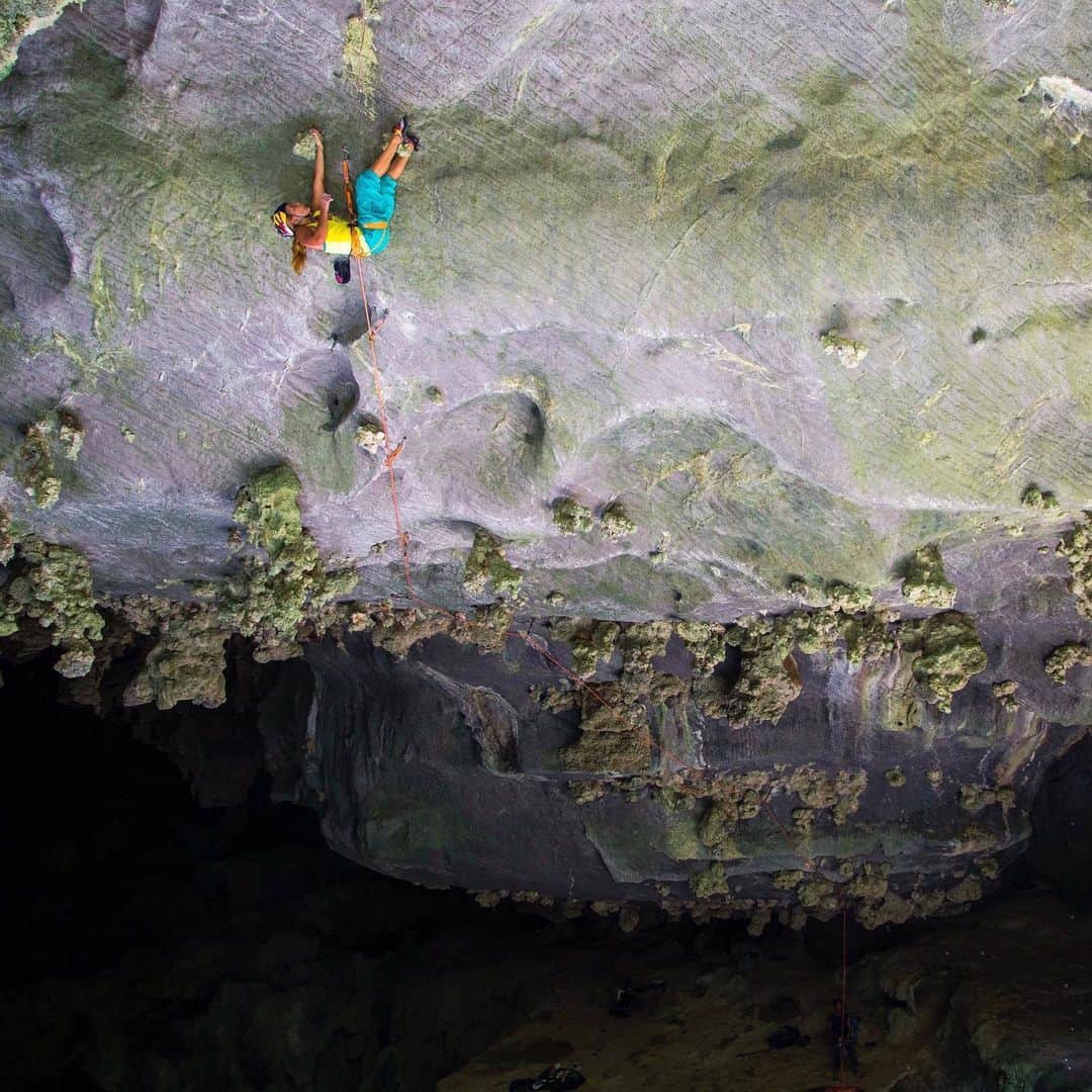 サッシャ・ディギーリアンのインスタグラム：「Exploring the striking beauty inside the cave known as “Salon de los Gigantes” in the Vinales Valley, Cuba. #climbing #cubatravel  Photo by @bearcam」