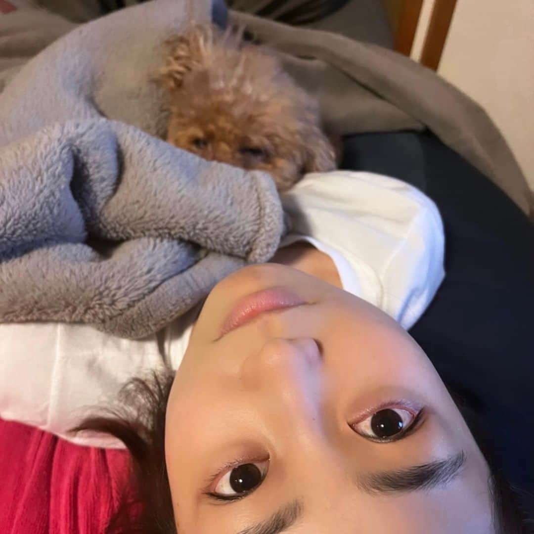 高田夏帆さんのインスタグラム写真 - (高田夏帆Instagram)「人も犬もだめになってます」4月25日 6時26分 - takadakaho