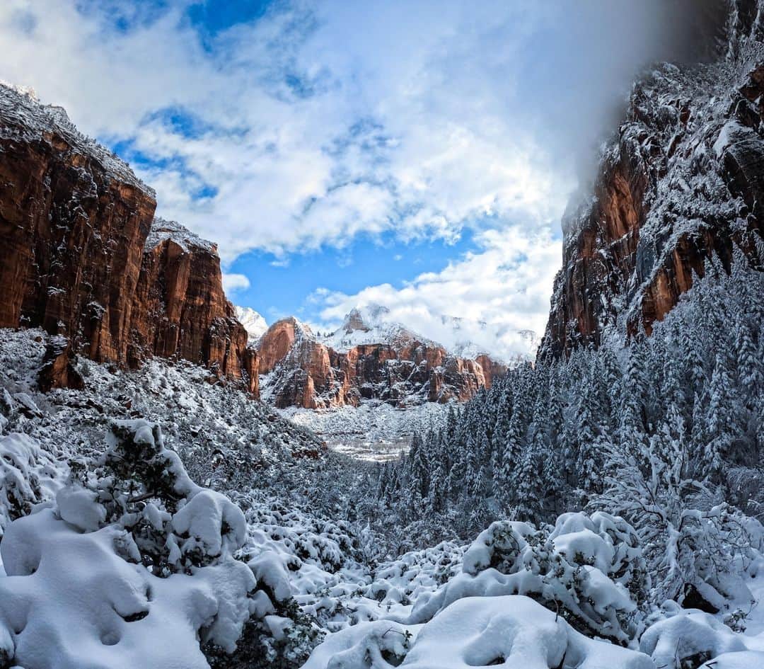 goproさんのインスタグラム写真 - (goproInstagram)「Photo of the Day: Late season desert snow 🏜❄️ @paultheshort got to experience the magic of Zion National Park with #GoProHERO11 Black.  #GoPro #Zion #ZionNPS #NationalParks #Utah #Hiking #GoProTravel」4月25日 6時35分 - gopro