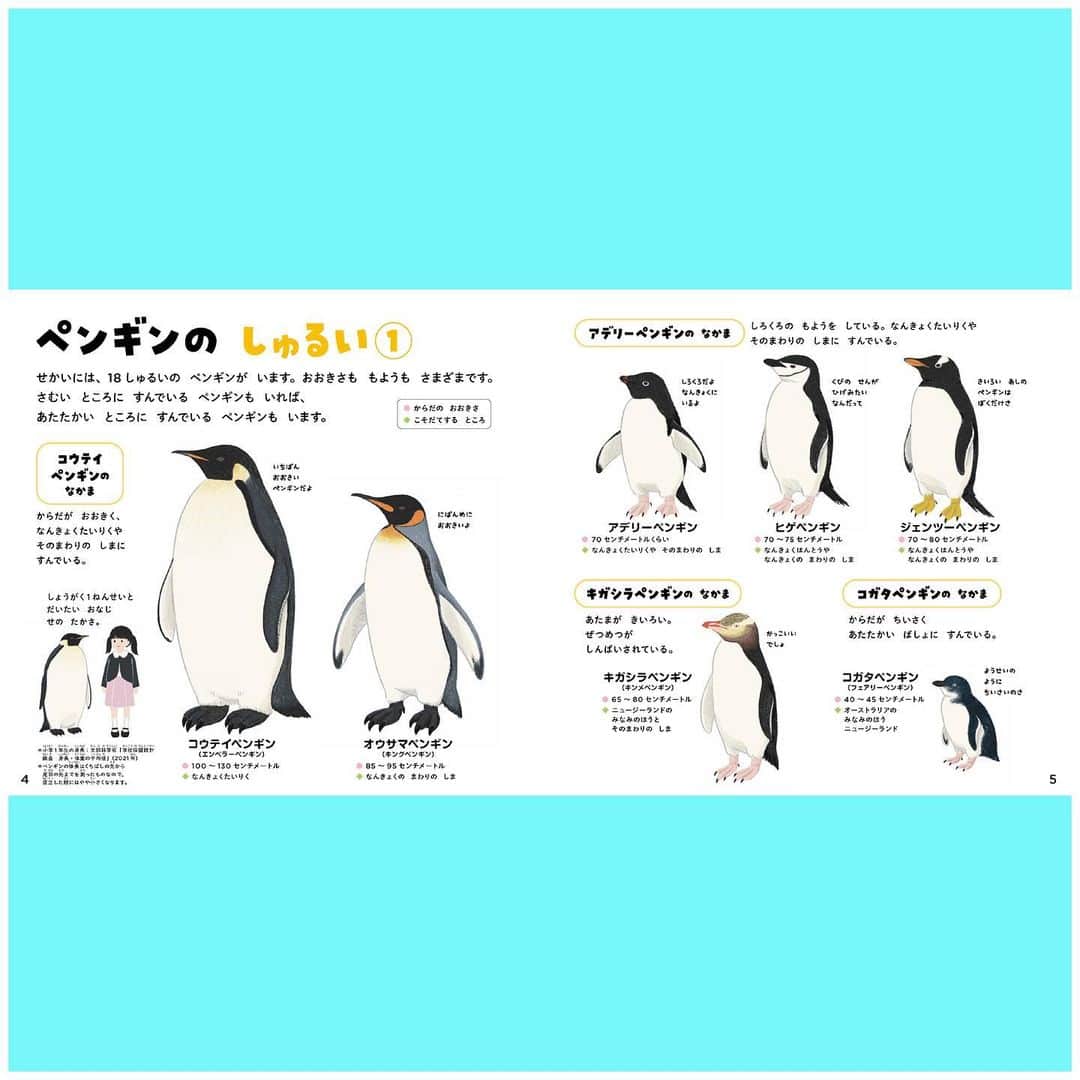 学研ゼミ【公式】さんのインスタグラム写真 - (学研ゼミ【公式】Instagram)「4月25日は、#世界ペンギンの日  毎年、この頃にアデリーペンギンがアメリカの南極基地に現れたことで、  南極基地の科学者たちが「ペンギンの日」として祝ったことがはじまりとされます。   よちよちかわいいペンギンたち🐧 水族館でみていると、泳ぐのがすごく速くてびっくりしますよね👀✨  そんなペンギンたちの魅力がつまった絵本のような図鑑  『学研のえほんずかん ペンギンのずかん』が、6/15発売予定！  ただいま予約受付中です♪   ペンギンの種類・全１８種類を紹介！  寒いところから暖かいところまで、いろいろなところにペンギンはいます。  かわいいだけじゃない、すごいひみつをたっぷりとりあげます。   夏休みに水族館・動物園に行く前に、  ペンギンのことを知って、もっともっと好きになってください✨  #世界ペンギンデー #ペンギンの日 #ペンギンのずかん #予約受付中 #新作絵本 #ペンギン #ペンギン好き #コウテイペンギン #オウサマペンギン #アデリーペンギン #ジェンツーペンギン #ヒゲペンギン #フンボルトペンギン #ケープペンギン #マゼランペンギン #イワトビペンギン #学研の絵本 #学研の図鑑 #絵本 #図鑑」4月25日 16時41分 - gakken_ehon