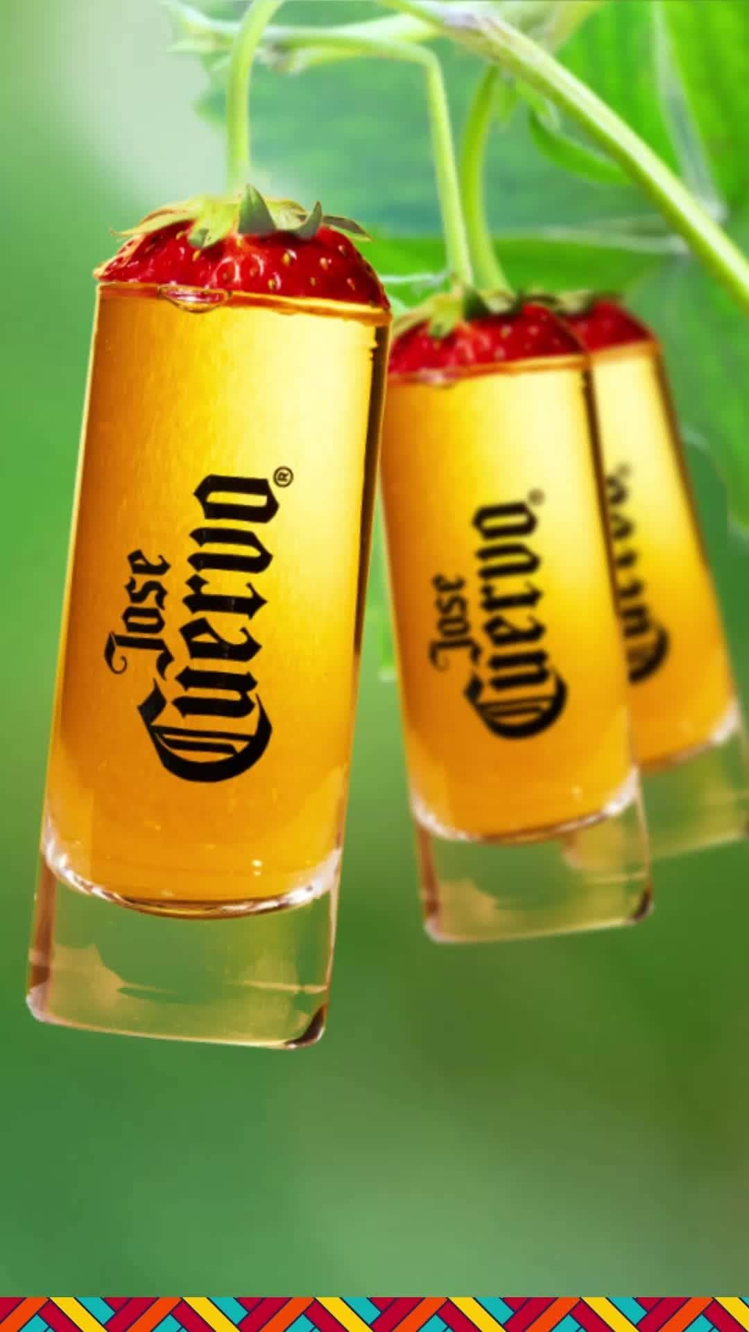 Jose Cuervo Japanのインスタグラム