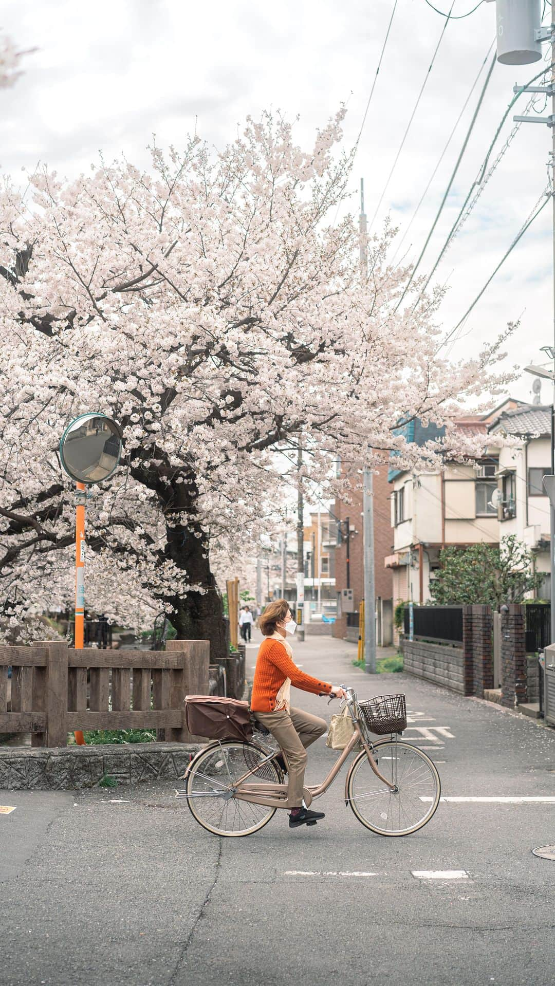 Joshのインスタグラム：「// a quick succession of some beautiful moments i caught at Shukugawara. I especially love the women on her bike! . . .  #japan #japanawaits #japan_vacations #explorejapan #discoverjapan #visitjapanjp #visitjapanau #visitjapan #discovertokyo #sakura #sakuraseason #matcha_jp #japanlandscape #japanlife #tokyo #japaneseculture #shibuya」