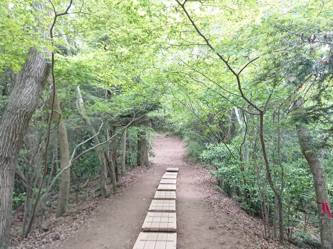 桜花さんのインスタグラム写真 - (桜花Instagram)「ふらっと高尾山へ  緑がたくさん！  新緑に癒されました🍀  わくわくで パワフルな新緑パワーです🍀  #新緑 #ハピピーン #山登り」4月25日 17時14分 - mountainohka