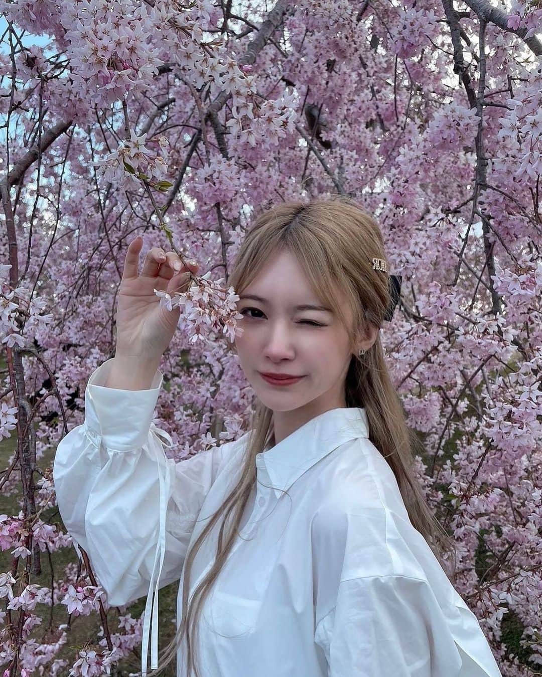 Yurikaのインスタグラム：「春が終わり夏が訪れ桜の花びらが朽ち果てても今日と変わらずあたしを愛して #🌸 #五稜郭公園 #五稜郭 #函館 #函館旅行」