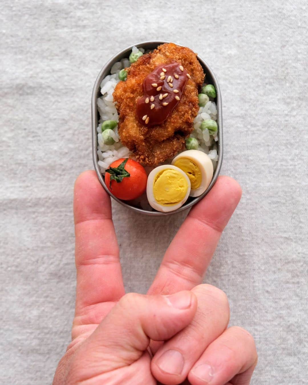 わたをのインスタグラム：「とんかつ弁当  春を感じる豆ごはんにのせて  ※2枚目 久々の雨コーデ🍣  #わた弁 #弁当 #お弁当 #ミニ弁 #柴犬 #豆柴 #おすしちゃん #徳島 #bento #Yummy #delicious #Japan #Japanesefood #Japaneselunch #bentobox #lunchbox」