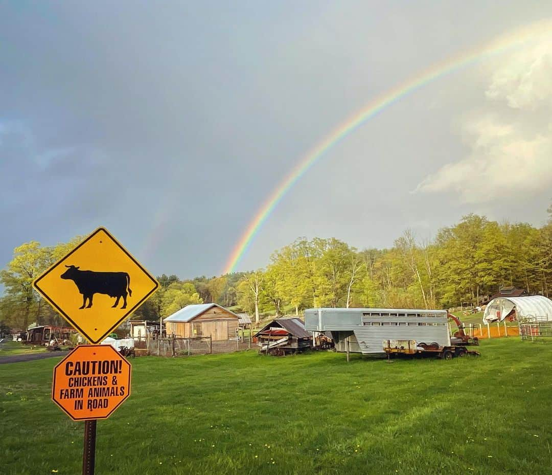 ジョシュア・レナードのインスタグラム：「Rainbows and cow crossings.」