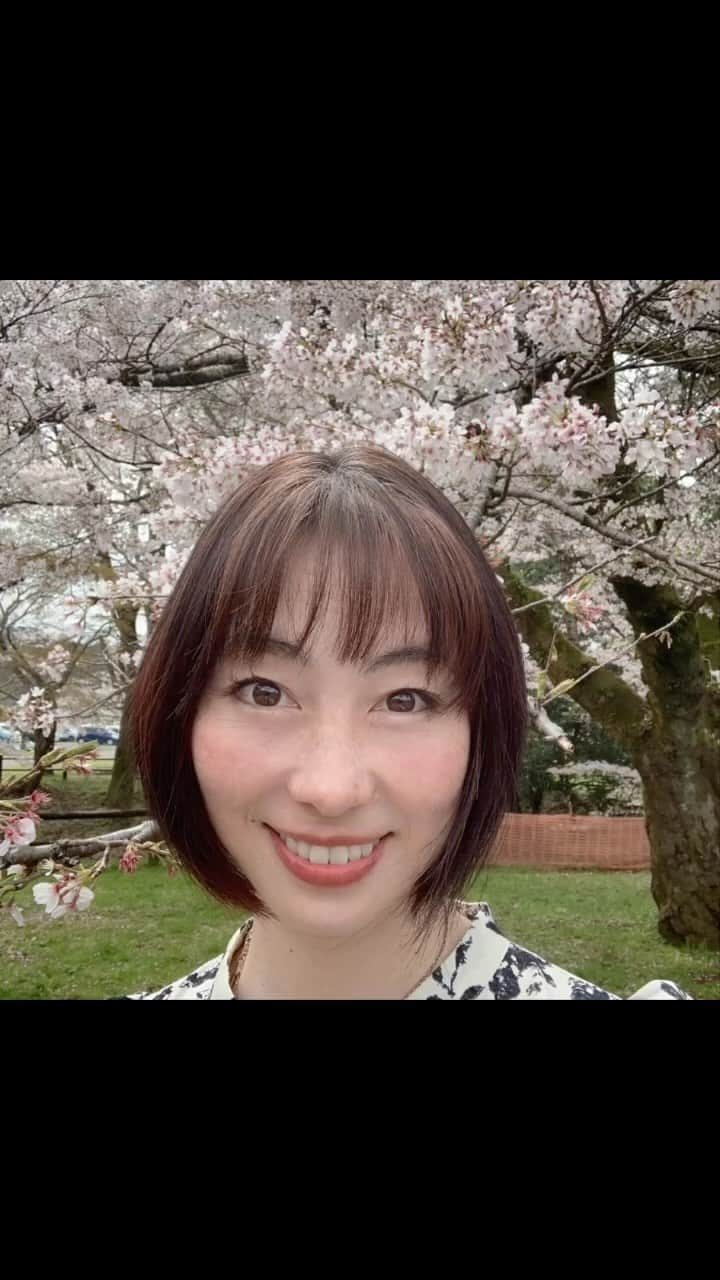 佐藤康恵のインスタグラム：「桜🌸🌸🌸 メルちゃん💛🧡💖  Sakura🌸🌸🌸  🌟YouTube🌟 Yasue Sato Music⬇️ 「ヘテロパナックス」 https://youtu.be/K9mhIFdyCuw 2022年10月26日（水）リリース！ 配信/販売リンク： https://big-up.style/40iRjkPYBq モデル/女優の佐藤康恵が２年ぶりに配信シングル第3弾「ヘテロパナックス」をデジタルリリース。　女優としても新たなステージに立つ佐藤康恵の新曲は、彼女の新たな幕開けとなるエレクトロサウンド。一目惚れが花言葉の「ヘテロパナックス」のように、希望に満ちあふれた楽曲に仕上がっている。MV制作はシロタコウジが担当。  佐藤康恵のYouTubeチャンネル 『佐藤康恵のなちゅライフ♡♪』はこちら⬇️ https://youtube.com/channel/UC0CBTq9URDeZqorxja02TAw よろしくお願いしなちゅ💋  #子育て康恵ママ #自然　#飯能　#ムーミンのいる街　#摩訶不思議　#sweetsweet #yasuesatomusic #youtuber #yasuesato #佐藤康恵 #actress #ウルトラマン #アクション #japanesegirl #singer #model #ysluxury #smile #garo #jyabi #邪美 #daikanyama #日本の女優  寒暖差激しいから💦皆んな風邪🤧ひかないようにね！」