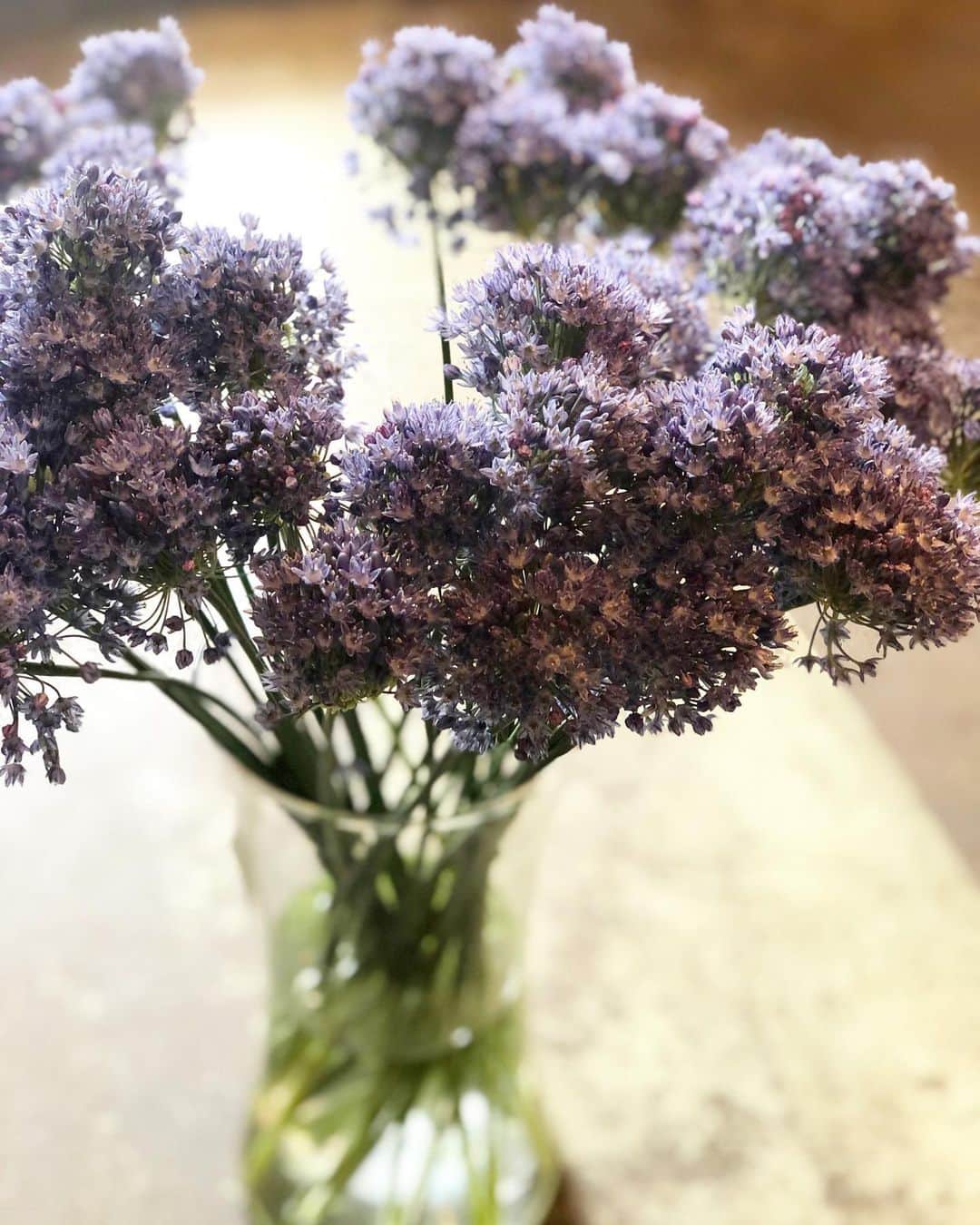 アンヘロ・カロ・ヌエバスさんのインスタグラム写真 - (アンヘロ・カロ・ヌエバスInstagram)「今週もたくさんのお花とお待ちしてます。」4月25日 10時23分 - caro_angelo