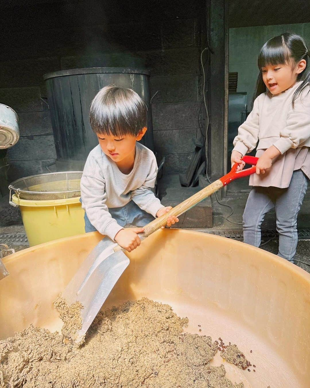 日下部ゆいこさんのインスタグラム写真 - (日下部ゆいこInstagram)「. . お味噌作り。 . 30キロのお味噌を ふた家族で作ってきました。 . . こちらのお味噌を食べたら 他のものは食べられなくなるくらいに 美味しい...♡ . 出来上がるのは一年後。楽しみ。 . . 子供も大人も全力で楽しみました。笑 . 毎度お馴染みの ＠faafa8 ファミリーと。 いつもありがとう！ . . #味噌作り#味噌#那須#栃木#男の子#男の子兄弟#4歳#1歳」4月25日 10時46分 - yuiko_kusakabe