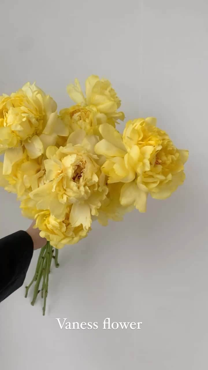 플로리스트 이주연 florist Lee Ju Yeonのインスタグラム