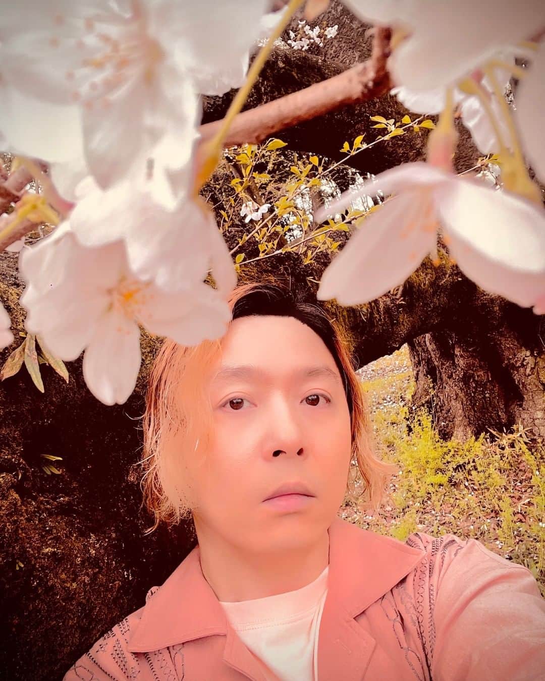 堂本剛さんのインスタグラム写真 - (堂本剛Instagram)「#ENDRECHERI」4月25日 12時00分 - tsuyoshi.d.endrecheri.24h.funk