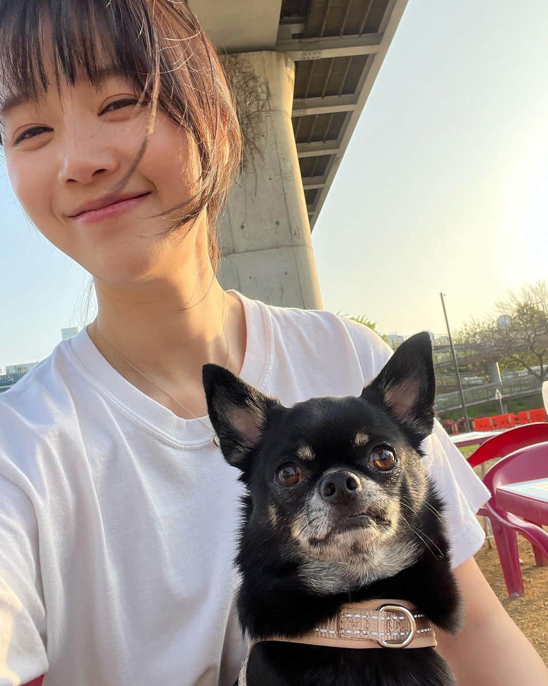 のインスタグラム：「땅콩이 사진찍는데 괜히 끼어들어서 찍은거.  #오늘아님 @ddangkong.wawa」