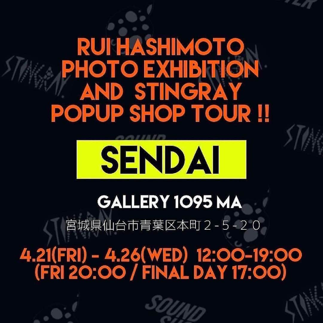 橋本塁さんのインスタグラム写真 - (橋本塁Instagram)「【仙台サウシュー写真展 &STINGRAY5日目！】19時までオープン！1095間(仙台市青葉区本町2-5-20 青蓑ビル１F)にてお待ちしてます！僕はずっと居ますので買い物がてらやライブ前に是非お待ちしてます！STINGRAYの新作も好評発売中！15時からDATE  FMに生出演！  #stingray  #サウシュー　 #oneokrock  #ストレイテナー　 #プッシュプルポット　 #androp  #thebackhorn  #ビレッジマンズストア　 #thepillows  #ren  #frontierbackyard  #dopingpanda   #hawaiian6  #thebawdies  #thebandapart  #fomare  #nothingscarvedinstone  #soundshooter  #写真展　 #photoexhibition  #livephoto  #landscapephotography  #仙台 #ライブ写真  Hakubi、ダスト&ロットン、ペトロールズ、OLEDICK FOGGY」4月25日 12時37分 - ruihashimoto