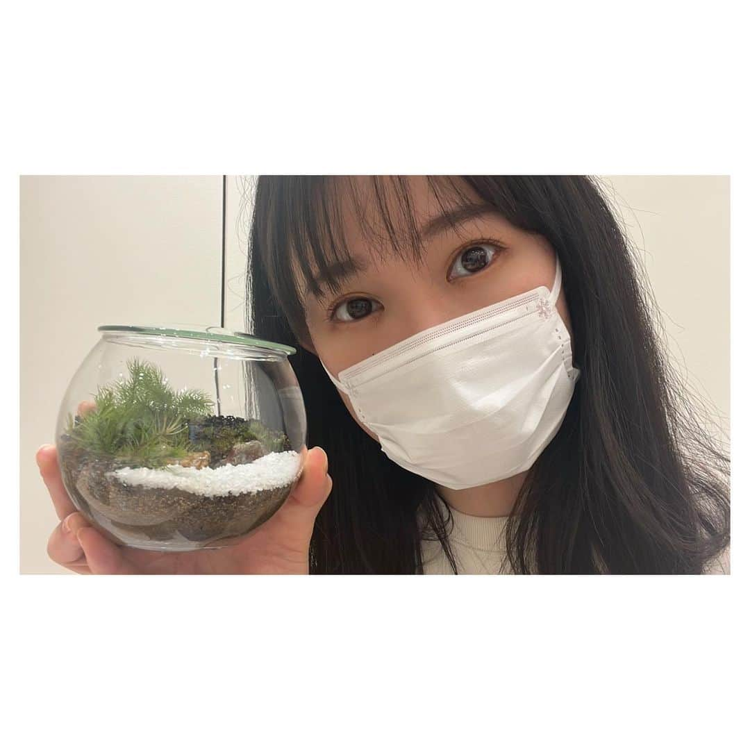 一木千洋さんのインスタグラム写真 - (一木千洋Instagram)「苔テラリウム🍀  先日 かな恵さん @kanae_1126_ito に誘われてテラリウム作りをしました✨ 苔か…寺の庭みたいなの作りたいな…と思って白い砂で池を表現したり背の低い苔を1株ずつ植えたり…やってみたらかなり楽しかったです(ピンセットで土に1つ1つ苔を植えるんです。想像と違った！) まだ全然苔むしてませんが、育つとどんどん苔が増えて味が出てくるそう。楽しみです。  #テラリウム  #苔テラリウム」4月25日 12時38分 - ikkichihiro