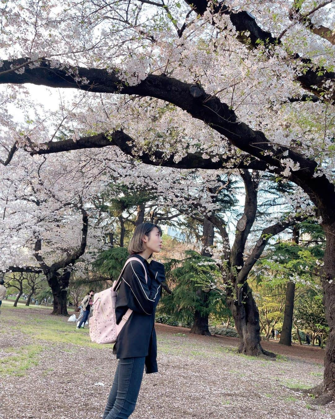 戸奈あゆみさんのインスタグラム写真 - (戸奈あゆみInstagram)「桜の写真終わりって言ってたけど嘘だった⸜(๑⃙⃘･ө･๑⃙⃘)⸝ﾋﾟﾖﾏﾙ これがホントの最後やで。笑  最近は、新学期が始まってバタバタしてるのだけれど… 楽しいことも多いから、まぁいっか！って思ってます🤣  忙しい中でいかに楽しく過ごすかって、ほんとに大切だなって思います！！ えぇ、とても。とても思うよ。 忙しかろうが、大変なことがあろうが、辛かろうが、「いや、私はそれなりに楽しく生きてる」と思うことの重要さよ。笑  ま、そんなこんなで、忙しいけど楽しいこともしつつ、毎日過ごしてる戸奈さんなのでした！  #japanesegirl #japanese #girl #portraitphotography #portrait #model #被写体 #写真 #フリーモデル #ポートレート女子 #モデル #撮影モデル #グラビア #広報  #広報担当  #広報女子  #スタートアップ  #スタートアップ企業  #ボブヘア  #ボブ  #元アイドル」4月26日 6時00分 - ayumi_tona