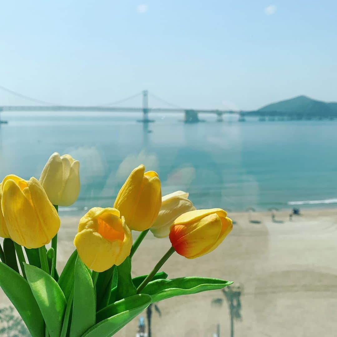 JR九州高速船株式会社のインスタグラム：「[日本語] [한국어] 釜山・広安里（クァンアンリ）광안리   そろそろ海に行きたくなる季節ですね！今日は、広安里（クァンアンリ）の風景をお届けします。💌  広安里海水浴場の周辺は、宿泊施設や飲食店がたくさんあり、観光客はもちろん、地元の人からも愛されているエリアです。 今後、おすすめのお店も紹介していくのでお楽しみに！😊  さて、GWの予定はお決まりでしょうか。今年は久しぶりに海外で過ごしませんか？ QUEEN BEETLEなら間際まで予約受付中です！ （博多発は出発2時間前まで、プサン発は出発2日前の17時までネット予約OK） 空席が僅かな日もあるので、お急ぎください！💨  ✨4月分の抽選を行いました✨ 当選者の方にはDMをお送りしていますのでご確認ください。おめでとうございます✨✨ 残念ながら今回ははずれてしまった方へ💁 来月以降も、ペアチケットが当たるチャンスはまだまだあります！  바다를 찾아가고 싶은 계절이 가까워졌습니다. 오늘은 광안리의 풍경을 전해드립니다.  광안리 해수욕장 주변은 바다를 즐길수 있는 숙박시설과 점포가 많아 관광객뿐만 아니라 부산 내에서도 인기 있는 곳입니다. 광안리 주변의 추천장소도 앞으로 소개할 예정이므로 기대해 주세요! 😊  ※일본은 곧 골든위크 기간이 시작됩니다. 퀸비틀을 이용하여 올 봄 여행을 떠나보시는 건 어떤가요?🤗  #クイーンビートル #QUEENBEETLE #퀸비틀 #韓国旅行 #韓国 #釜山旅行 #釜山 #広安里 #広安里海水浴場 #プサン #korea #busan #광안리 #광안리해수욕장 #gw旅行 #韓国好きな人と繋がりたい #JR九州高速船」