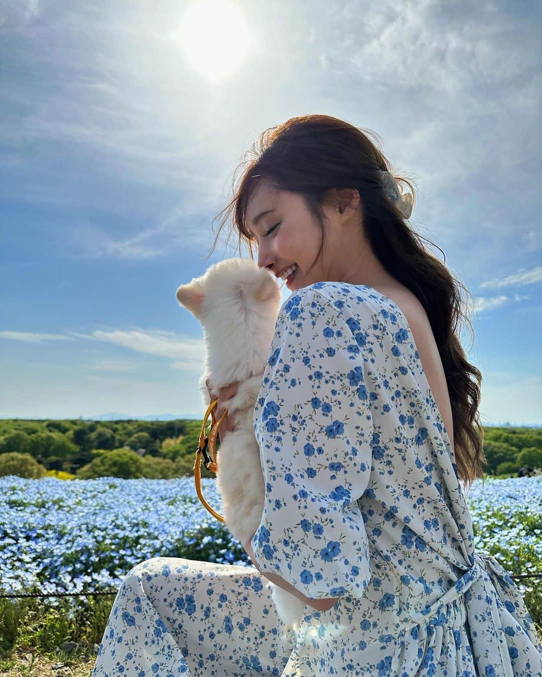 KIHOのインスタグラム：「. ネモフィラ畑♡お花が昔から大好き。お花畑も大好き。ちゅちゅと行けて嬉しかった🐶💕. . . #国立ひたち海浜公園 #ネモフィラ　#ネモフィラ畑」