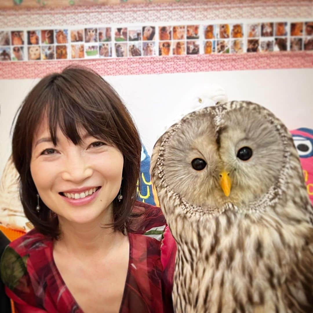 行正り香さんのインスタグラム写真 - (行正り香Instagram)「新しいお友だちができました。（フクロウカフェですが^_^）かわいいわあ。❤️#フクロウカフェ #rikayukimasa #行正り香」4月25日 14時50分 - rikayukimasa