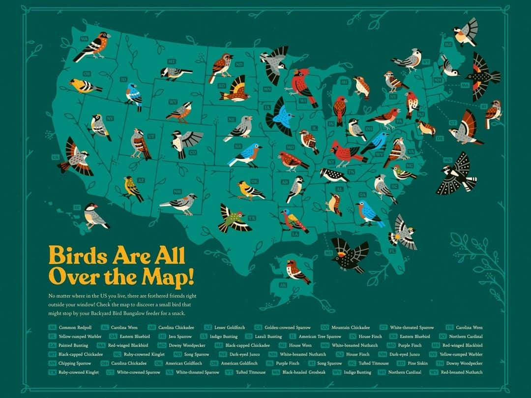 Dribbbleさんのインスタグラム写真 - (DribbbleInstagram)「Birds of America by @erik_as_erik   #birds #america #map #mapdesign #bird #illustration #topography」4月25日 15時00分 - dribbble