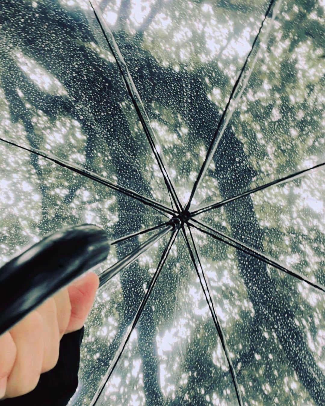 森田理香子さんのインスタグラム写真 - (森田理香子Instagram)「． ． 雨の日散歩🚶‍♀️🚶🚶‍♂️  #雨#傘#散歩」4月25日 15時23分 - 1_rikako
