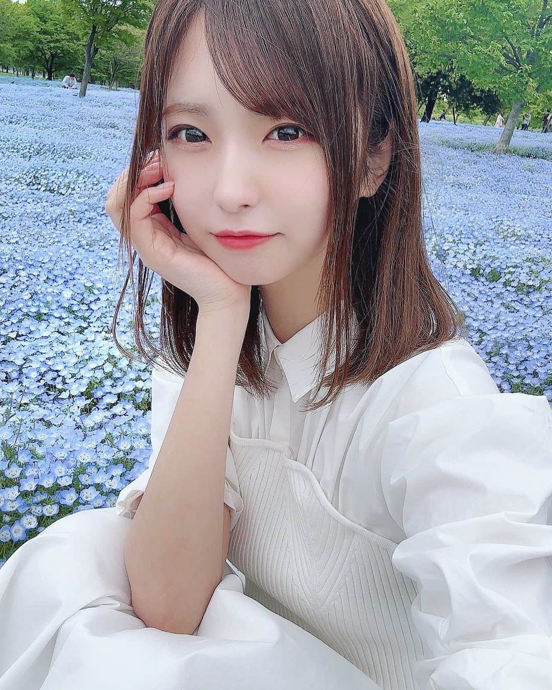 谷口彩菜さんのインスタグラム写真 - (谷口彩菜Instagram)「ネモフィラみてきた〜🤍💙 . 本当綺麗だった〜🥲 ひたちなかのネモフィラも 行ったことあるけど遠くて 舎人公園はじめていったよ〜！！ 昨日でこの咲きだったから まだネモフィラ沢山咲いてるよ〜☺️♡ わんちゃんお散歩してる人 よく見かけて見るたびにいいな〜ってなった🐶わんちゃんお迎えしたい🥹 . . #舎人公園 #ネモフィラ　#ネモフィラの丘 #白ワンピ」4月25日 15時29分 - taniguchi_ayana