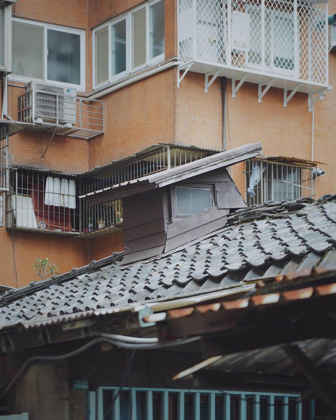 言身寸 in Tainan, Taiwanのインスタグラム：「#細部形狀  - #看不見的城市 / #籠流連 - 2023.4.25 #taiwan #taipei #台灣 #台湾 #台北 #写真」