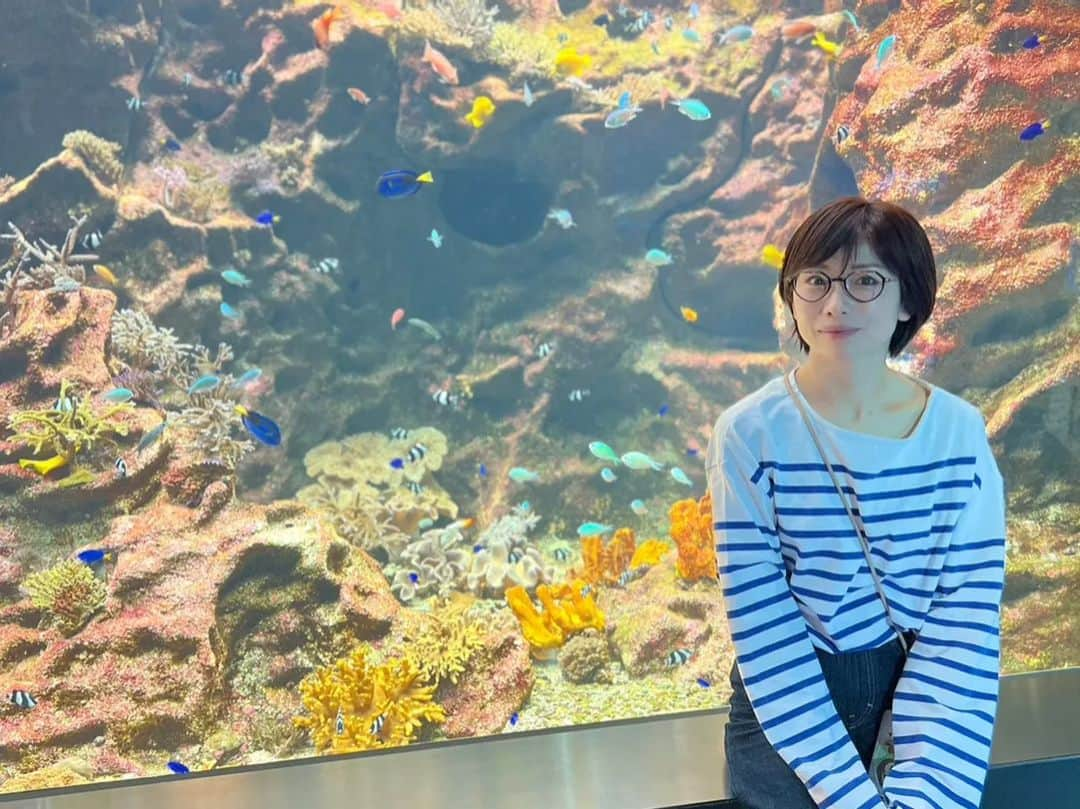 高見こころさんのインスタグラム写真 - (高見こころInstagram)「可愛い水族館🐠  #みなとやま水族館 #神戸観光  #廃校リノベーション #小学校跡地 #可愛いスポット #穴場スポット」4月25日 16時07分 - cocoro_takami