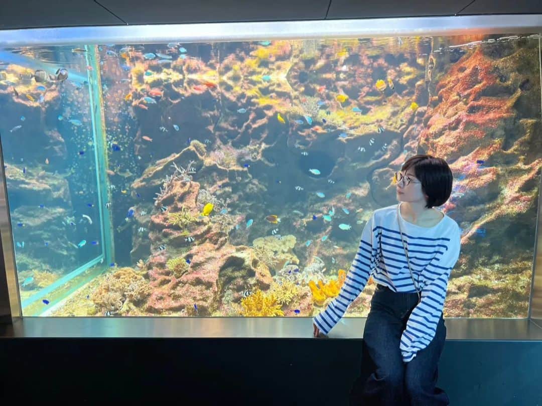 高見こころのインスタグラム：「可愛い水族館🐠  #みなとやま水族館 #神戸観光  #廃校リノベーション #小学校跡地 #可愛いスポット #穴場スポット」