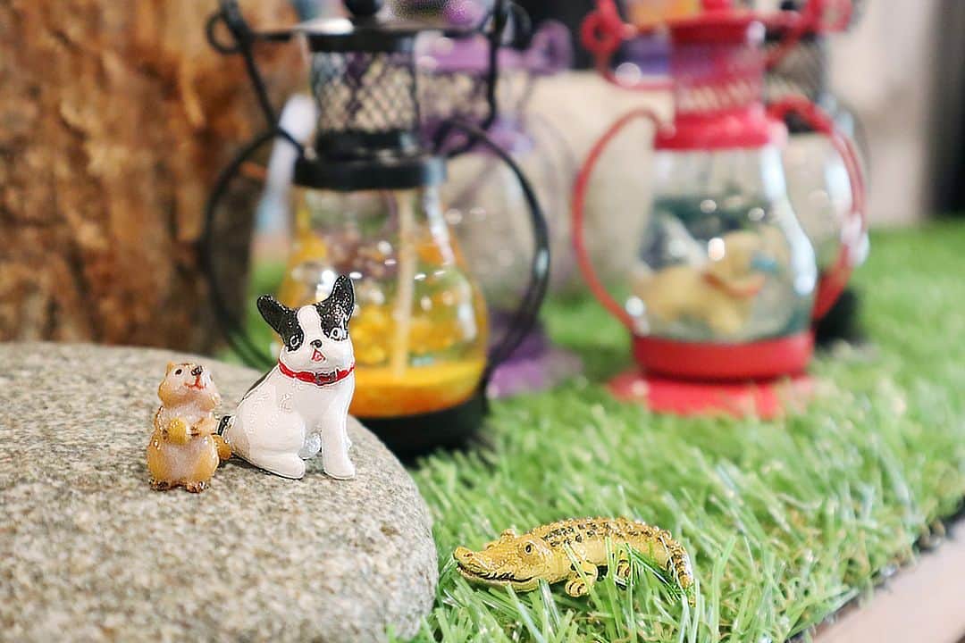 のインスタグラム：「【エバーグレイズ琵琶湖🇺🇸】 ウィッシングキャンドルのモニュメントに3種類のAnimalが登場🐿🐕🐊 数量限定なので無くなり次第終了です❗️  #エバーグレイズ琵琶湖 #エバキャン #グランピング #アメリカン #アウトドア #リゾート #キャンプ #滋賀県 #琵琶湖 #滋賀旅行 #近江舞子 #滋賀県キャンプ場 #ファミリーキャンプ #ファミキャン #オートキャンプ #犬とキャンプ #biwako #everglades #glamping #resort #camping」