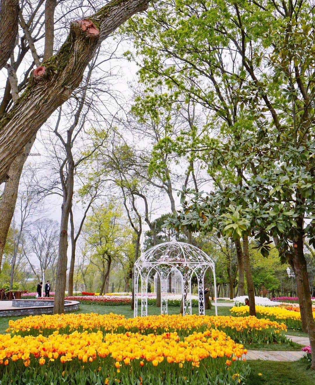 Wonderful Placesさんのインスタグラム写真 - (Wonderful PlacesInstagram)「Beautiful Emirgan Park in Istanbul by ✨@dotzsoh✨ Tag your friends!!! 💖💖🌷🌷 #wonderful_places for a feature 💖」4月26日 2時56分 - wonderful_places