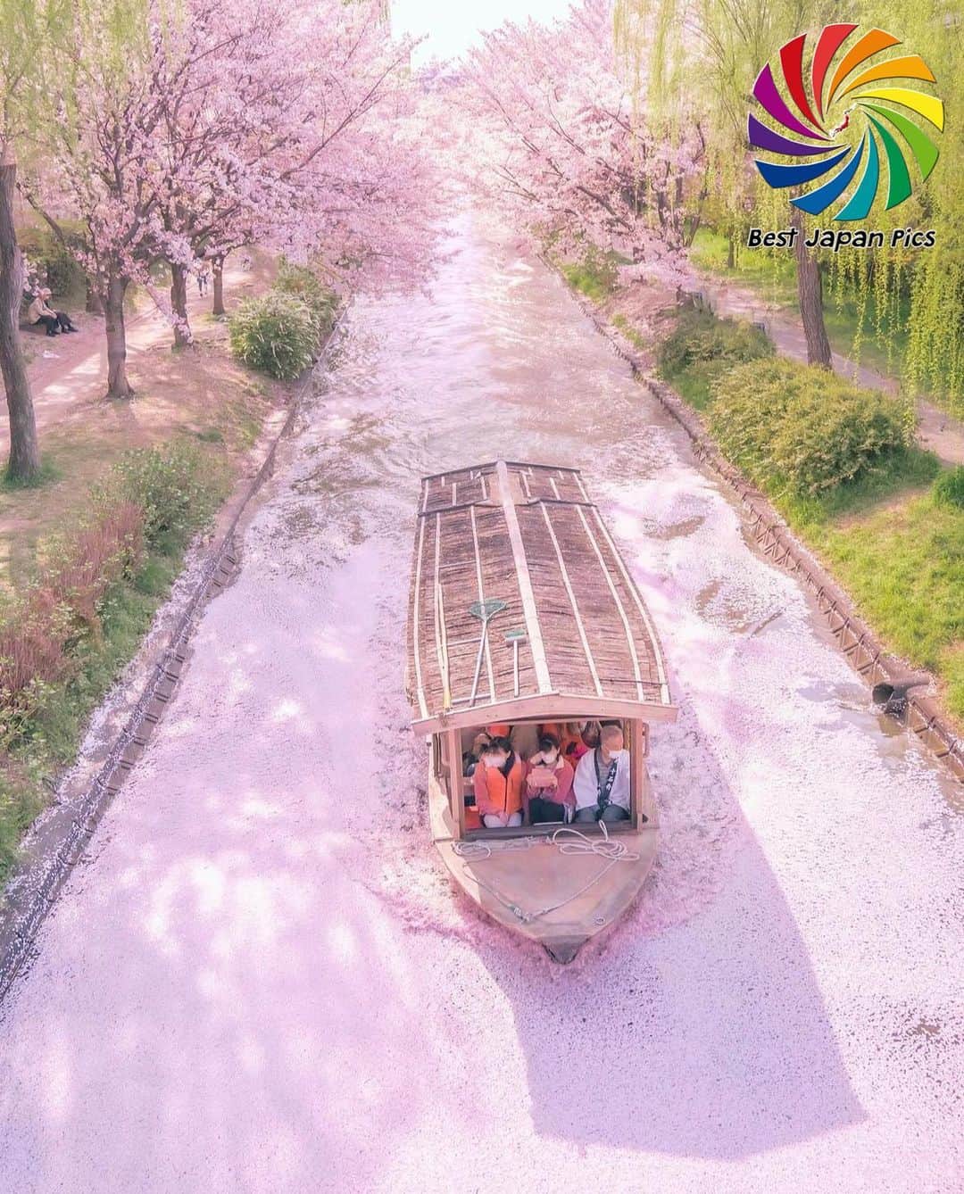 Follow & use #bestjapanpicsのインスタグラム：「＊---Today's Bestjapanpics---＊ . 👑Congrats to @kanarintan  素敵なお写真へのタグ付けありがとうございます✨ . 📷 Select by @bloom4123 (Mod) 🗾 Location : 京都府 📎 Category :#桜筏 . *Follow us @bestjapanpics_ . *Tag #bestjapanpics  . 撮影地の都道府県をキャプション・コメントタグ・ジオタグのいずれかに入れて下さい。 . @bestjapanpics_ では日本で撮られた素敵なお写真へのタグ付けをお待ちしています✨ . Select the amazing photos every day. ダグ付けをして頂い投稿の中から 素晴らしい写真を選出させていただきます。 . . 🤝Friend hub @factory_shotz 工場の写真 @setouchi_gram 瀬戸内の魅力を . . #japan #photo #camera #landscape #nature #portrait  #日本 #写真 #カメラ #風景 #自然 #ポートレート .」