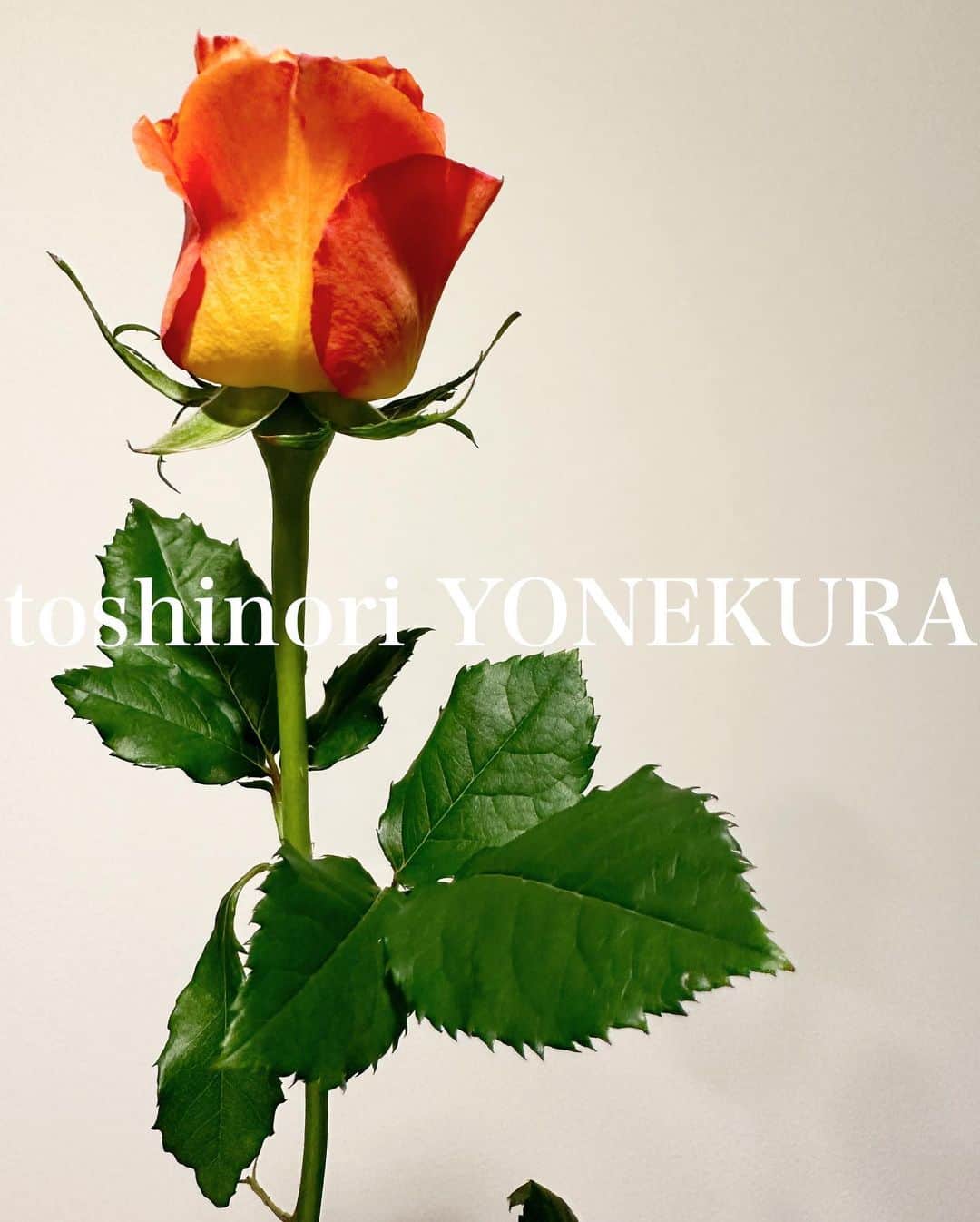 米倉利紀さんのインスタグラム写真 - (米倉利紀Instagram)「#花のある生活 #男花」4月26日 1時27分 - toshi_yonekura