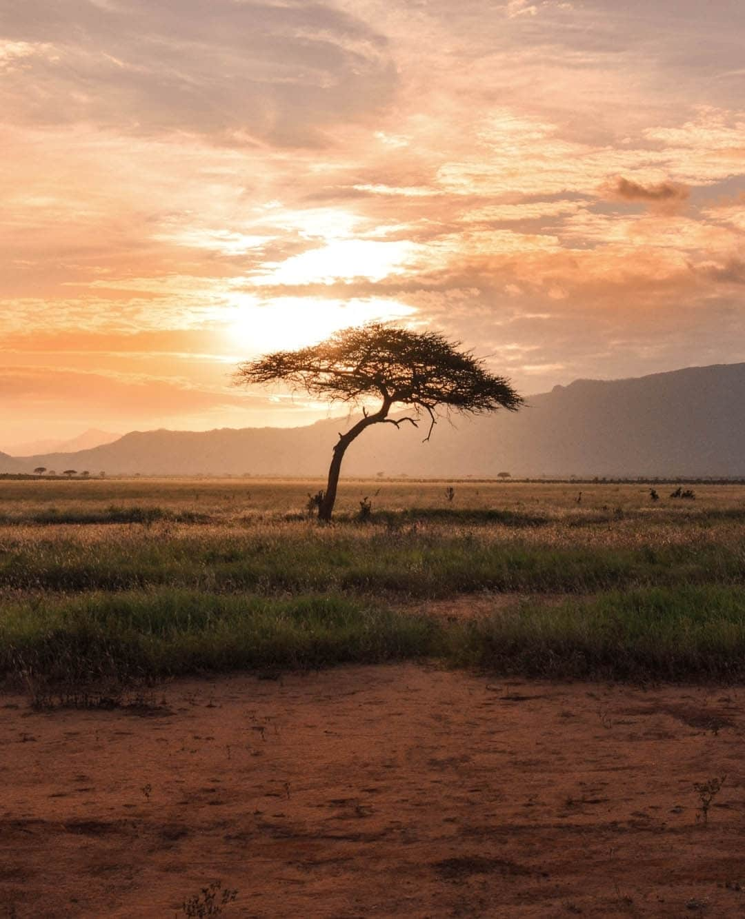 オバッキのインスタグラム：「Bring home a piece of Kenya: Our curated collection features the best of Kibera and Kitui, with ethically sourced, sustainable styles that celebrate the talent and ingenuity of our talented artisan partners! ⁠ ⁠ Shop The Kenya Collection at the link in our bio!」