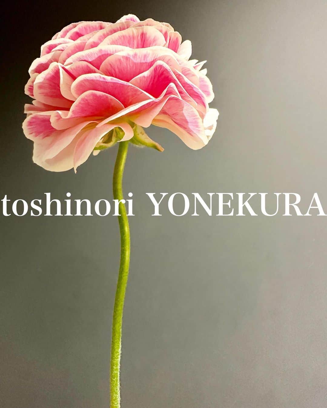 米倉利紀さんのインスタグラム写真 - (米倉利紀Instagram)「#花のある生活 #男花 #楽屋」4月26日 1時30分 - toshi_yonekura