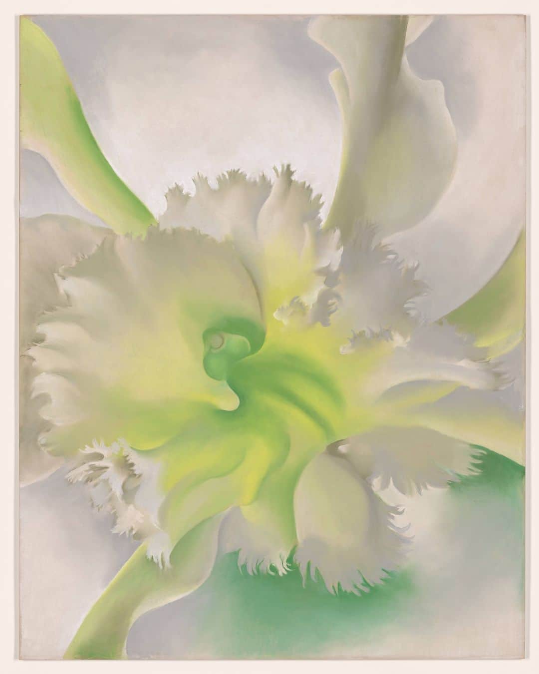 ニューヨーク近代美術館のインスタグラム：「“When you take a flower in your hand and really look at it, it’s your world for the moment.” — Georgia O’Keeffe  Though the artist is widely recognized for her oil paintings of zoomed-in blooms, she treated the subject much less often—and very differently—on paper. Swipe through to see #GeorgiaOKeeffe’s flowers depicted in pastel, charcoal, and watercolor.   In #ToSeeTakesTime, a new exhibition on view now, many of O'Keeffe's series of works on paper are reunited, along with key paintings, illuminating the artist's process and inviting us to take time to look. Link in bio to learn more and plan your visit.   — All works by Georgia O'Keeffe. © 2023 Georgia O'Keeffe Museum / Artists Rights Society (ARS), New York [1] “An Orchid.” 1941. The Museum of Modern Art, New York. Bequest of Georgia O’Keeffe [2] “Banana Blossom.” 1934. Hudson River Museum, Yonkers, New York. Bequest of Carl E. Hiller [3] “Canna Lily.” c. 1918-1920. Columbus Museum of Art. Museum purchase, Derby Fund」